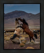 Load image into Gallery viewer, Desert Duel 1