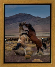 Load image into Gallery viewer, Desert Duel 1