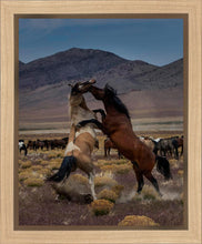 Load image into Gallery viewer, Desert Duel 1