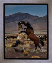 Load image into Gallery viewer, Desert Duel 1