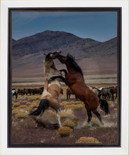 Load image into Gallery viewer, Desert Duel 1