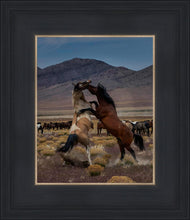 Load image into Gallery viewer, Desert Duel 1