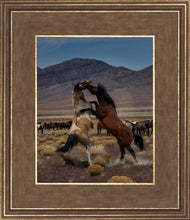 Load image into Gallery viewer, Desert Duel 1