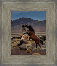 Load image into Gallery viewer, Desert Duel 1