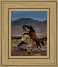 Load image into Gallery viewer, Desert Duel 1