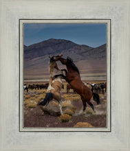 Load image into Gallery viewer, Desert Duel 1