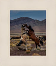 Load image into Gallery viewer, Desert Duel 1