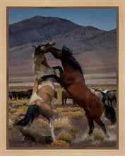 Load image into Gallery viewer, Desert Duel 1