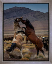 Load image into Gallery viewer, Desert Duel 1