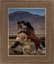 Load image into Gallery viewer, Desert Duel 1