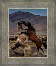 Load image into Gallery viewer, Desert Duel 1
