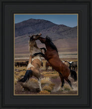 Load image into Gallery viewer, Desert Duel 1