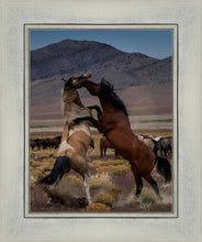 Load image into Gallery viewer, Desert Duel 1