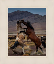 Load image into Gallery viewer, Desert Duel 1