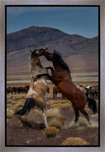 Load image into Gallery viewer, Desert Duel 1