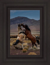 Load image into Gallery viewer, Desert Duel 1