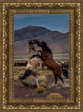 Load image into Gallery viewer, Desert Duel 1