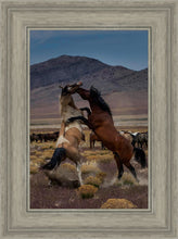 Load image into Gallery viewer, Desert Duel 1