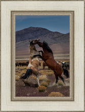Load image into Gallery viewer, Desert Duel 1