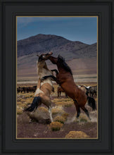 Load image into Gallery viewer, Desert Duel 1