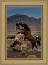 Load image into Gallery viewer, Desert Duel 1