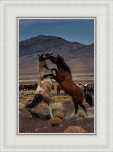Load image into Gallery viewer, Desert Duel 1