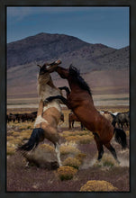 Load image into Gallery viewer, Desert Duel 1