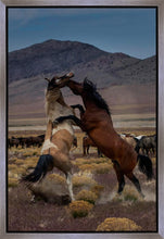 Load image into Gallery viewer, Desert Duel 1