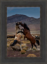 Load image into Gallery viewer, Desert Duel 1