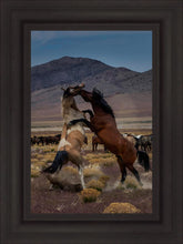 Load image into Gallery viewer, Desert Duel 1