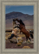 Load image into Gallery viewer, Desert Duel 1