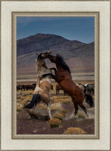 Load image into Gallery viewer, Desert Duel 1
