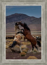 Load image into Gallery viewer, Desert Duel 1