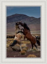 Load image into Gallery viewer, Desert Duel 1
