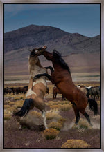 Load image into Gallery viewer, Desert Duel 1