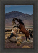 Load image into Gallery viewer, Desert Duel 1