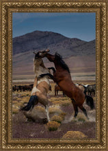 Load image into Gallery viewer, Desert Duel 1