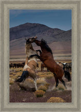 Load image into Gallery viewer, Desert Duel 1