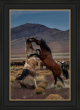 Load image into Gallery viewer, Desert Duel 1