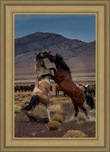Load image into Gallery viewer, Desert Duel 1