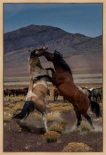 Load image into Gallery viewer, Desert Duel 1