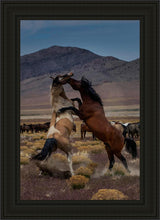Load image into Gallery viewer, Desert Duel 1