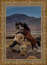 Load image into Gallery viewer, Desert Duel 1