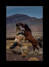 Load image into Gallery viewer, Desert Duel 1