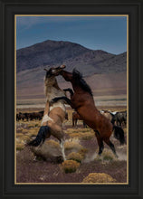 Load image into Gallery viewer, Desert Duel 1