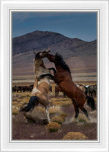 Load image into Gallery viewer, Desert Duel 1