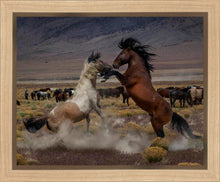 Load image into Gallery viewer, Desert Duel 5