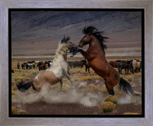 Load image into Gallery viewer, Desert Duel 5
