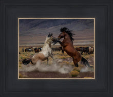 Load image into Gallery viewer, Desert Duel 5