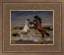 Load image into Gallery viewer, Desert Duel 5